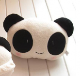 Panda Pillow Car